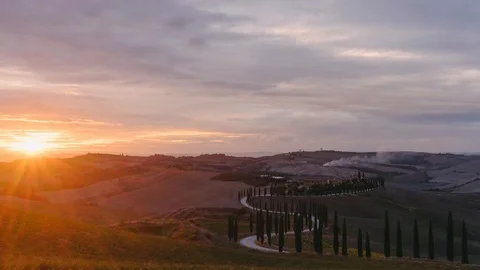 Sunset over Vineyard fields with cypress trees in Tuscany Italy. 4k time-lapse Stock-Footage 99786850