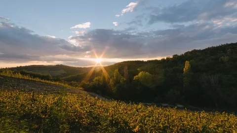 Sunset over Vineyard fields in Tuscany Italy. 4K time-lapse Stock-Footage 99786814