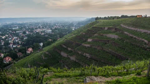 Sunset over the Vineyards of Dresden (Radebeul) Timelapse Stock Footage 24881114