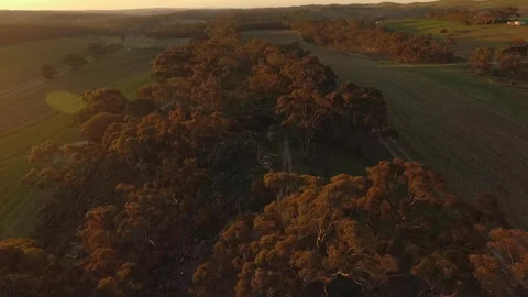 Sunset over walking trail Stock Footage 274866242