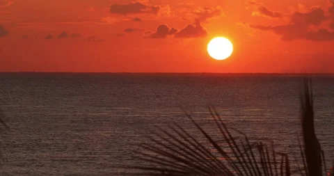 Sunset Over Water And Trees Video stock 166528144