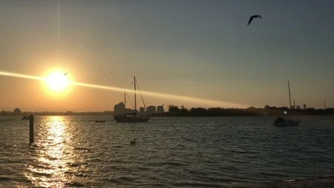 Sunset over water boat and pelicans Stock Footage