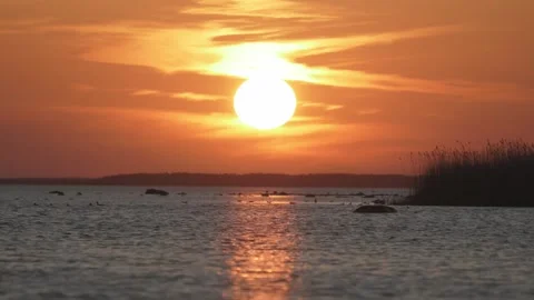 Sunset over the water with clouds and silhouettes of plants at dusk Video stock 333446472