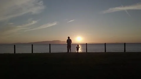 Sunset over the water Stock Footage 157677059