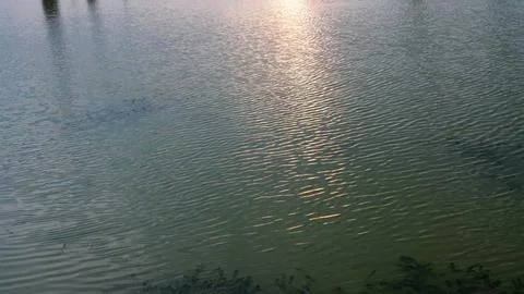Sunset over the water Stock Photos