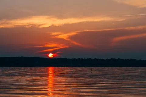 Sunset over water with the red sun and orange sky with silhouettes of flying Stock Photos