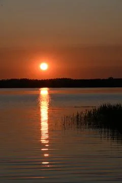 Sunset over water with reflection and trees in the distance during evening .. Stock Photos