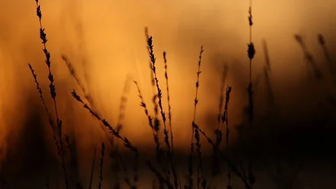 Sunset over water - reflections Stock Footage 72107998