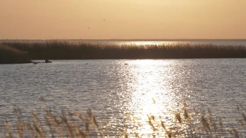 Sunset over water with reflections near marshland in a quiet natural area Видео 333446430