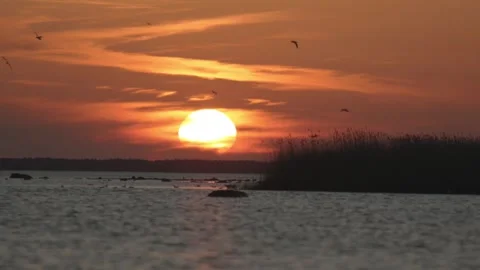 Sunset over water with silhouettes of grass and clouds at evening time Video stock 333446380