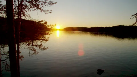 Sunset over the water surface and the forest Stock Footage 135579684