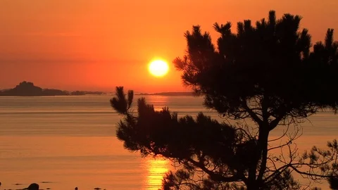 Sunset over water with tree Stock Footage 74096638