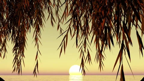 Sunset over water with trees moving Stock Footage 292985018
