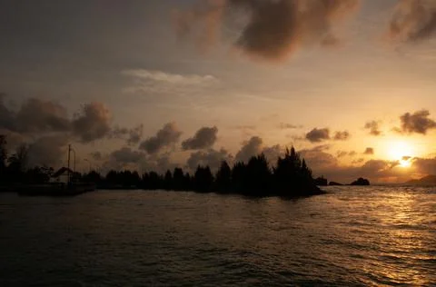 Sunset over the water with trees Stock Photos