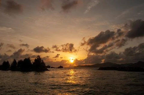 Sunset over the water with trees Stock Photos