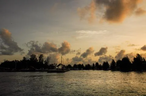 Sunset over the water with trees Stock Photos