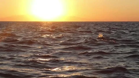 Sunset over the wavy sea, evoking a dramatic end scene. Stock Footage 278485535