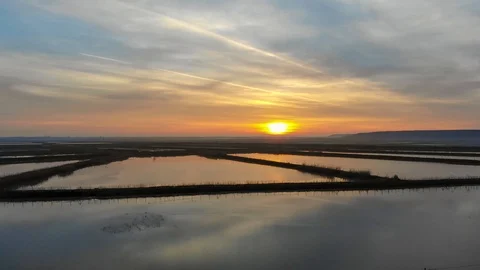 Sunset over wetlands. Spring floods in Neajlov Delta, Comana, Romania. Video stock 118317274