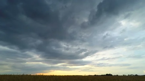 Sunset over a Wheat Field Stock Footage 52097143