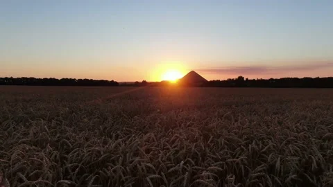 Sunset over a wheat field Stock Footage 134904391