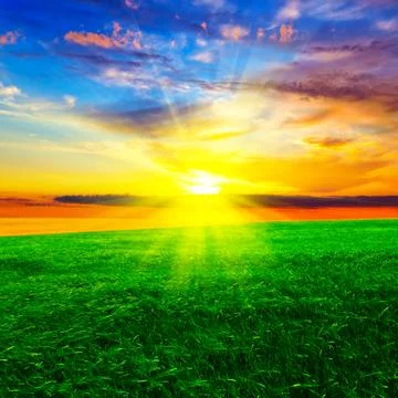 Sunset over the wheat field Stock Photos