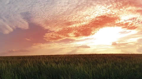 Sunset over wheat field time lapse 库存影片 106464308