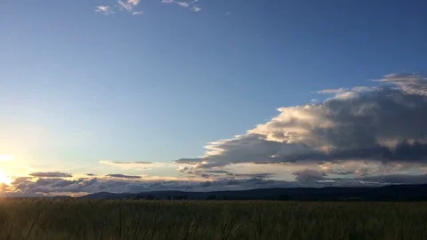 Sunset over a wheat field timelapse Stock Footage 71129973
