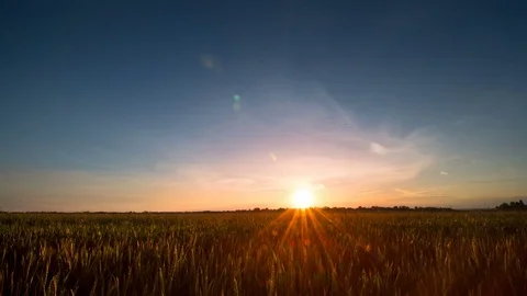 Sunset over wheat field timelapse Video stock 76588224