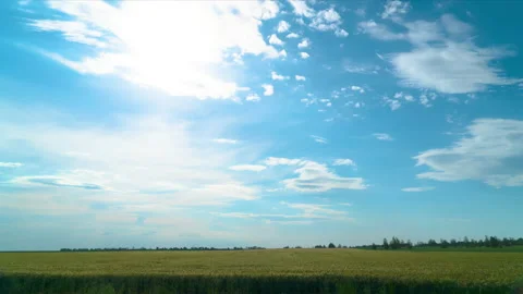 Sunset over wheat field timelapse Video stock 133623243
