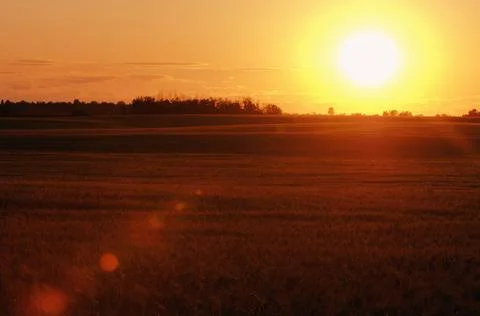 Sunset Over The Wheat Fields Stock Photos
