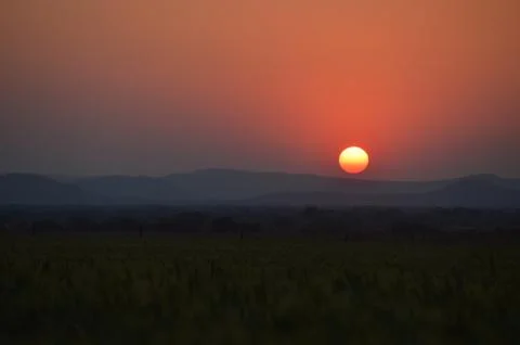 Sunset over Wheat Stock Photos