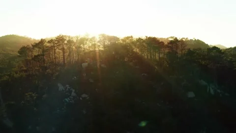 Sunset over wild forest mountains. Flying through the mountain tops to sunlight. Stock Footage 141472263