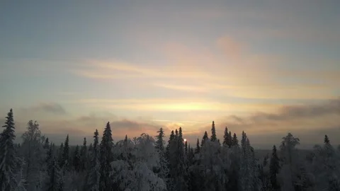 Sunset over the winter forest - Aerial Drone Footage Stock Footage 162902908