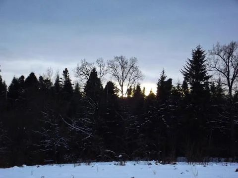 Sunset Over Winter Forest Stock Photos