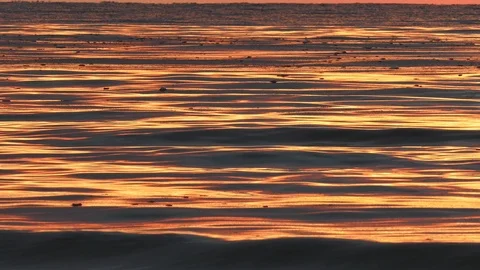 Sunset over winter sea 動画素材 99939459