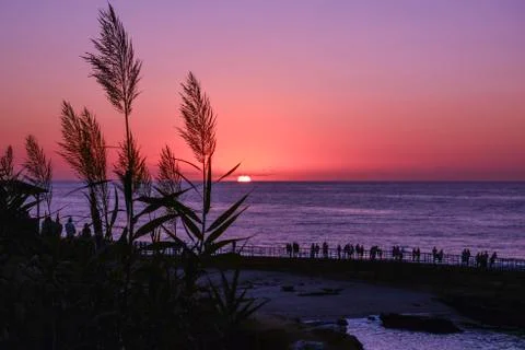 Sunset Pacific Ocean Stock Photos