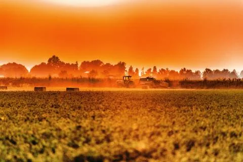 Sunset on a packing machine Stock Photos