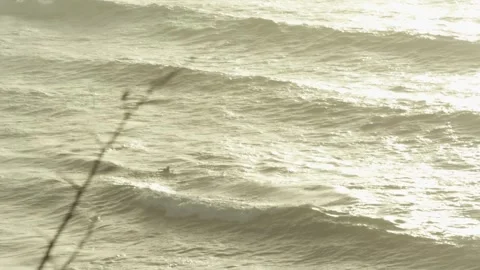 Sunset Paddle Out Surfer New Zealand Stock Footage 254374035