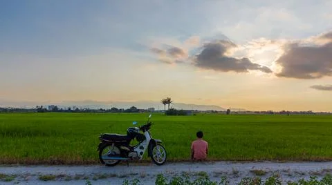 Sunset at paddy field in Penang-Malaysia Stock Photos