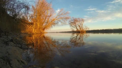 Sunset painted the trees on the river bank. Stock Footage 46468208