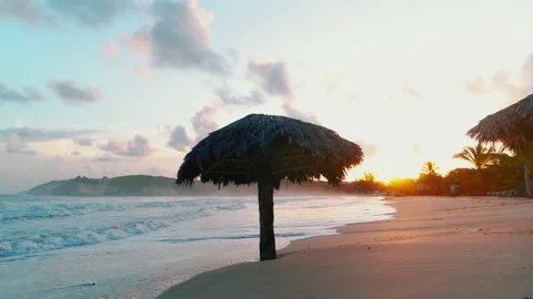 Sunset on a palm beach.  Stock Footage 221747865
