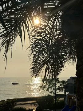 Sunset Palm Beach Стоковые фото