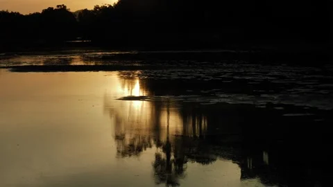 Sunset palm tree and luxurious home slow motion 4K Video stock 245326514