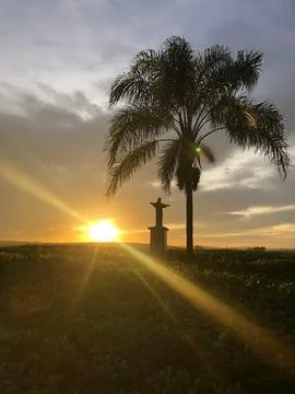 Sunset with palm tree and statue Fotos de archivo