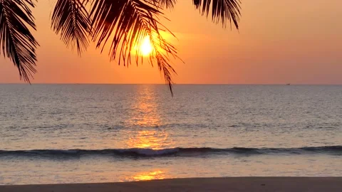 Sunset palm tree on the beach katabeach phuket thailand 库存影片 136283731