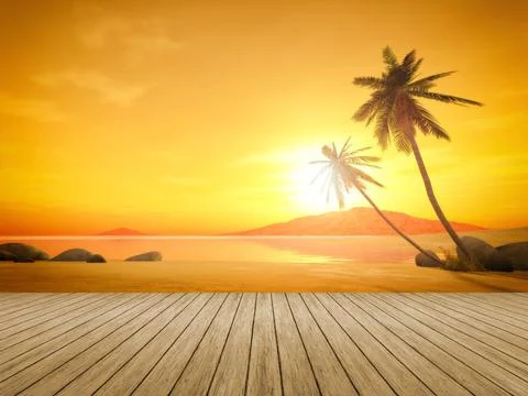 Sunset palm tree A beautiful sunset over the ocean with a palm tree and wo... Stock-Fotos