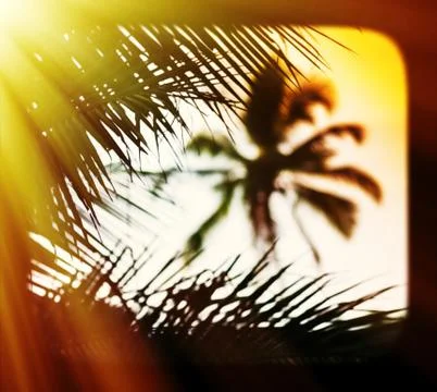 Sunset palm tree blurred framed postcard background Stock-Fotos