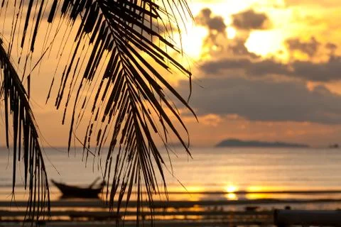 Sunset with palm tree in front and  defocused boat Foto stock