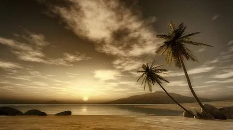 Sunset palm tree An image of a beautiful sunset over the ocean with a palm... Stock-Fotos