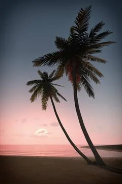 Sunset palm tree An image of a beautiful sunset over the ocean with a palm... Stock-Fotos